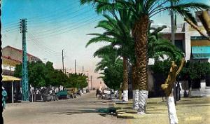 AIN EL TURCK (1139)